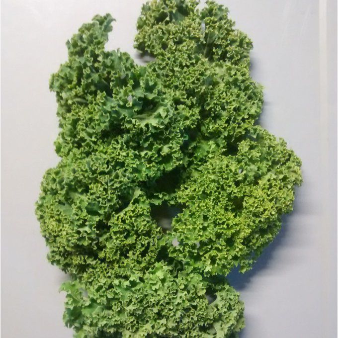Chou Kale BIO - 6.50€/kg